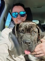 dog 5